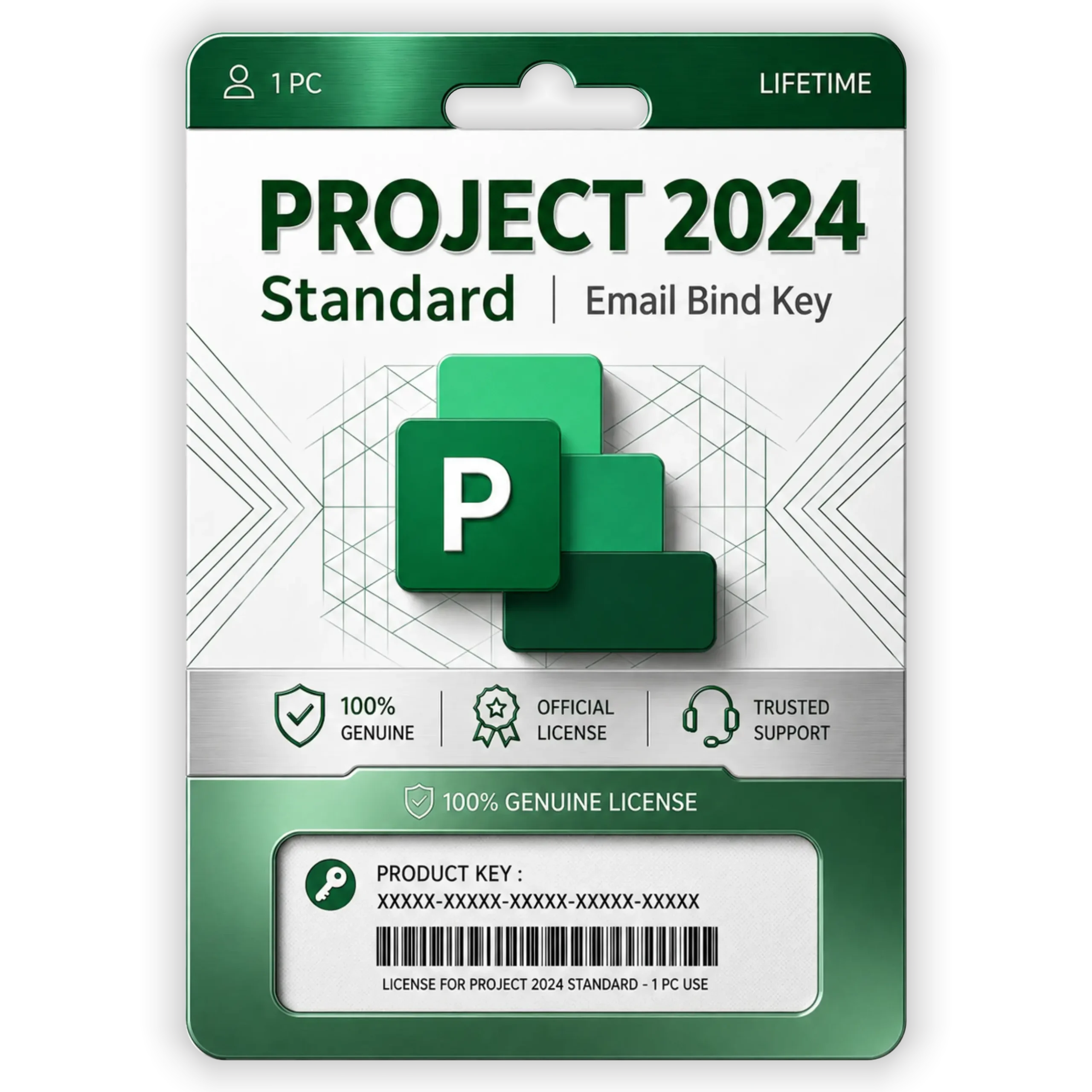 Project 2024 Standard (1) Project 2024 Standard Email Bind Key Original License - Image 1